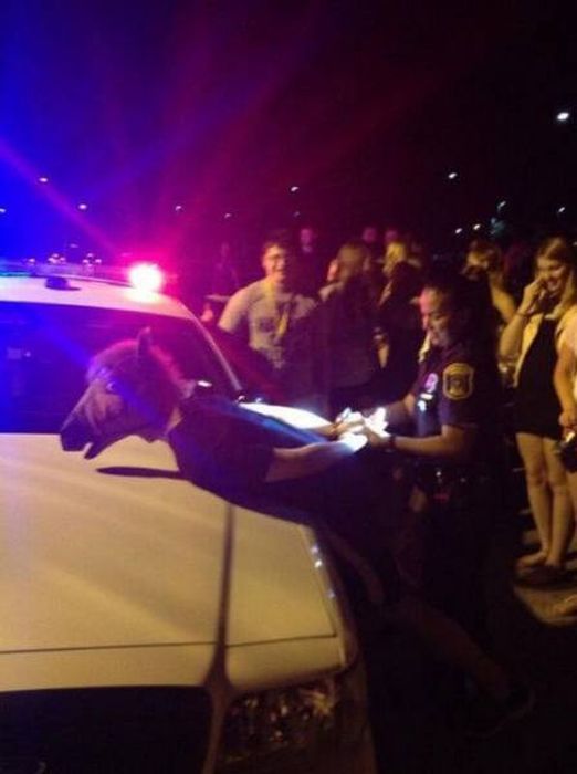 Sometimes You Just Have To Sit Back And Let The Weird Stuff Happen (41 pics)