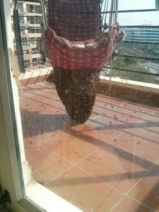 Sometimes You Just Have To Sit Back And Let The Weird Stuff Happen (41 pics)