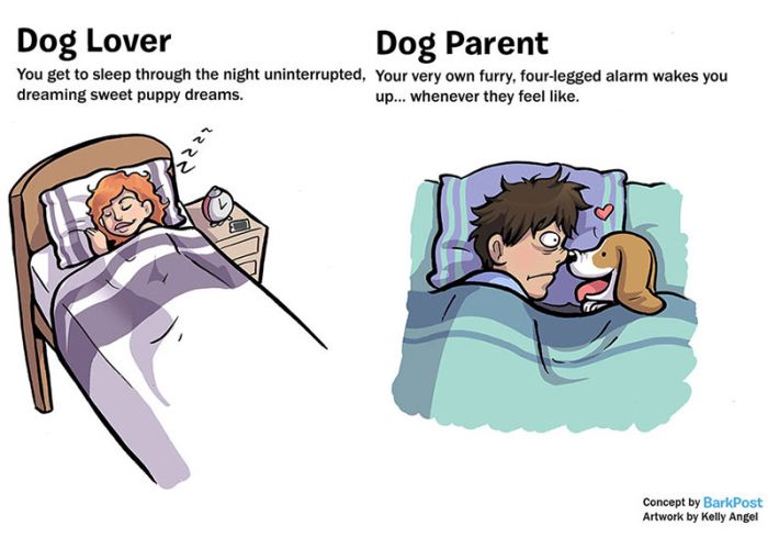 7 Huge Differences That Separate Dog Lovers And Dog Parents (7 pics)