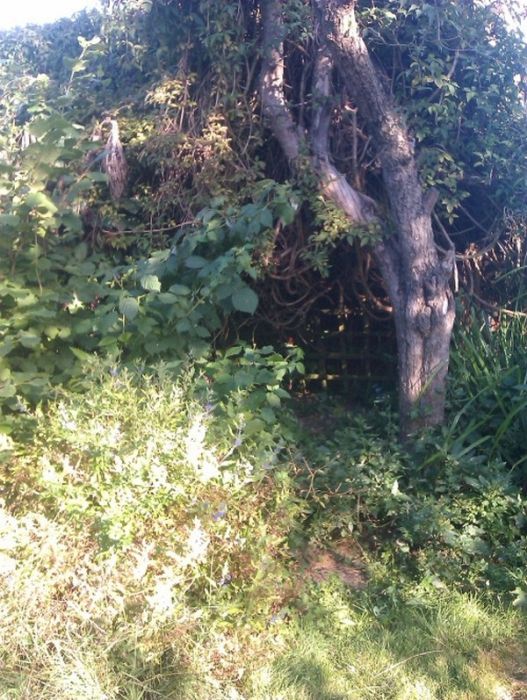Man Builds Custom Hobbit Hole In His Own Backyard (23 pics)