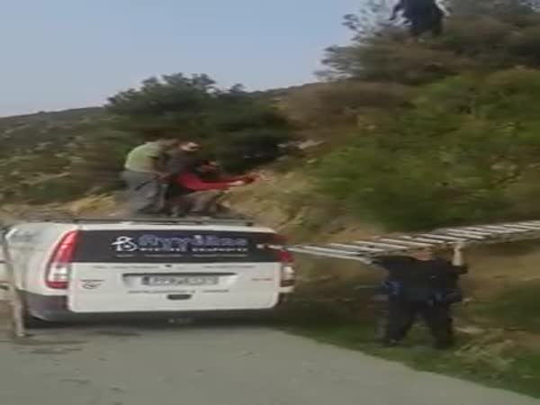 Goat Rescued