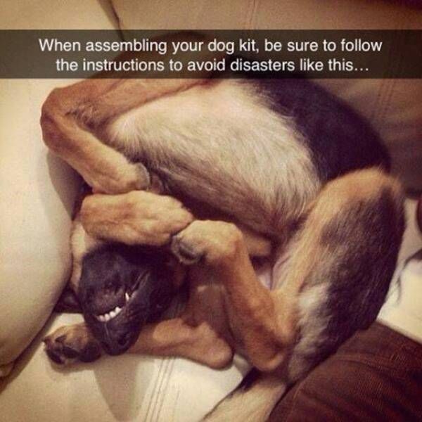 Your Day Is About To Be Made By These Hilarious Memes (52 pics)