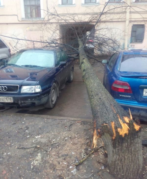 Looks Like These Cars Were Parked In A Lucky Spot (2 pics)