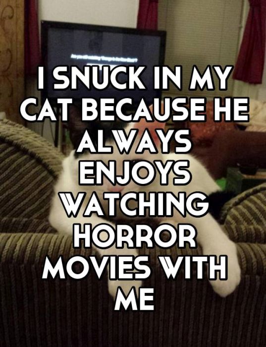 Whisper Users Reveal Their Methods For Sneaking Food Into A Movie Theater (17 pics)