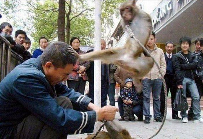 Acid Picdump (98 pics)