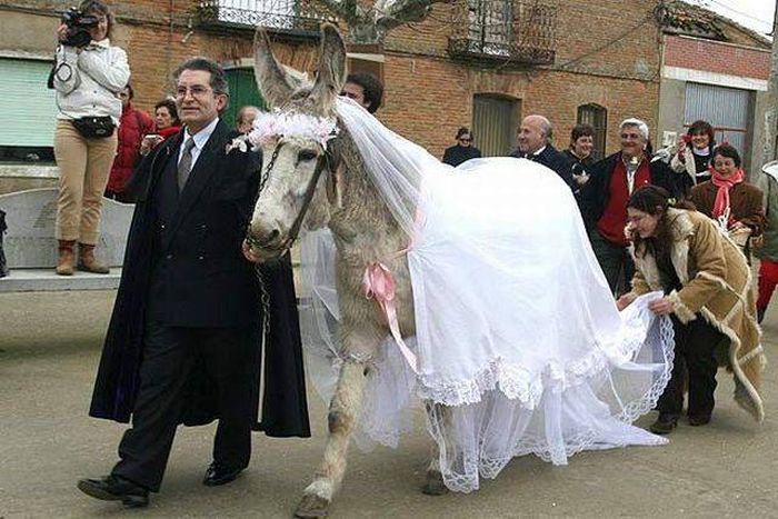 Acid Picdump (98 pics)