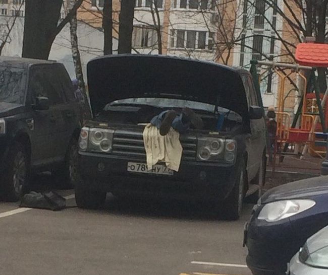 Acid Picdump (98 pics)