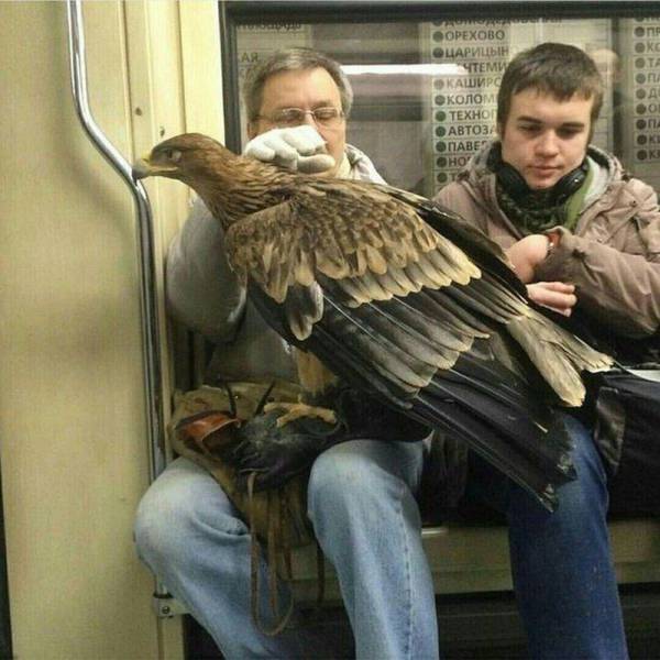 Acid Picdump (98 pics)