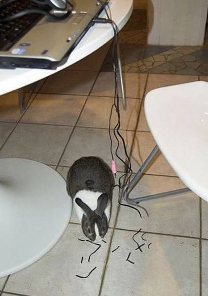 Acid Picdump (98 pics)