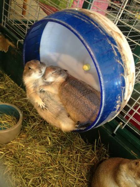 Acid Picdump (98 pics)