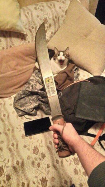 Acid Picdump (98 pics)
