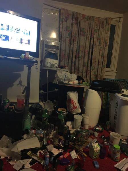 Acid Picdump (98 pics)