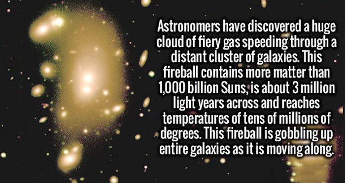 Serve Your Brain Some Knowledge With These Fresh Facts (18 pics)