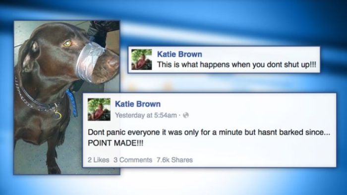 15 Stupid People Who Screwed Up Big Time On Social Media (15 pics)