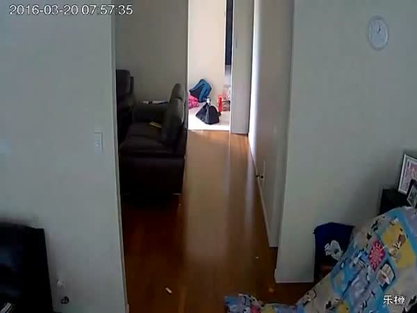 Thief Under The Blanket