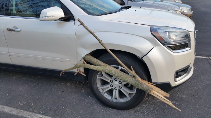 Large Suv Gets Penetrated By A Big Wooden Stick 3 Pics 2318