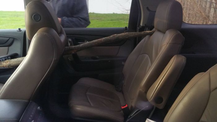 Large SUV Gets Penetrated By A Big Wooden Stick (3 pics)