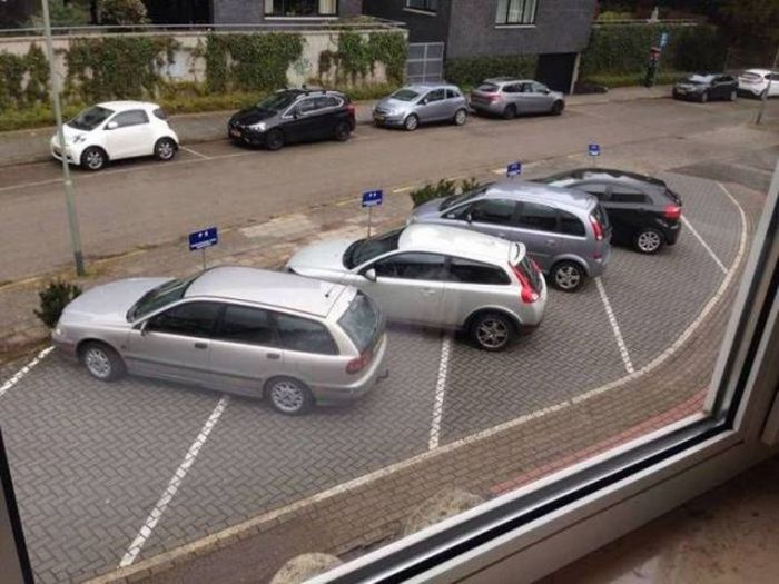 Acid Picdump (107 pics)