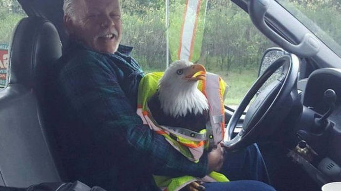 Acid Picdump (107 pics)