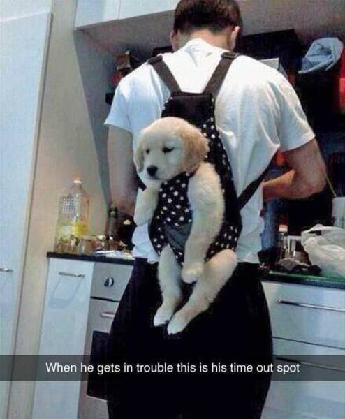 Acid Picdump (107 pics)