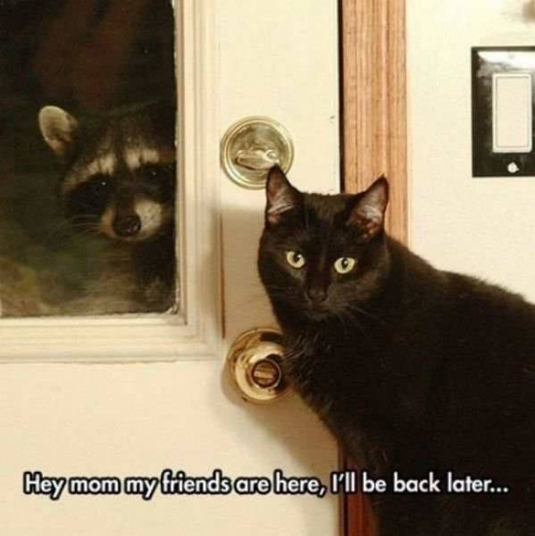 Acid Picdump (107 pics)
