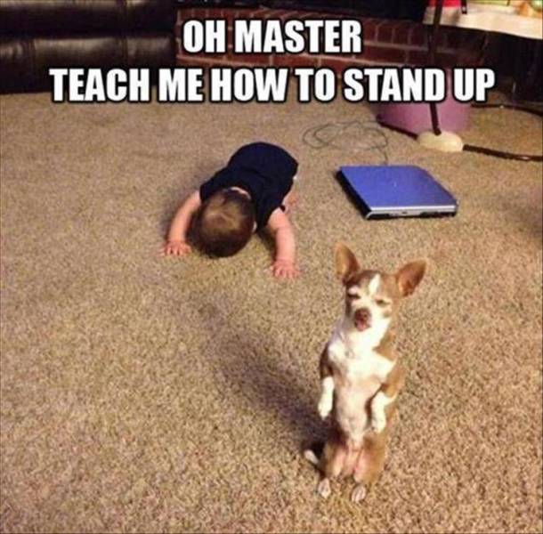 Acid Picdump (107 pics)