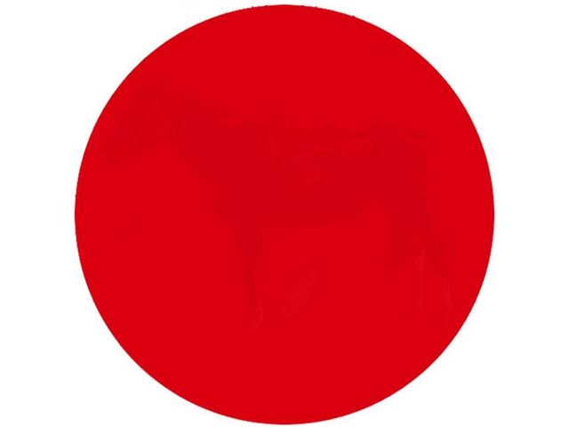 The Internet Is Trying To Figure Out What's In This Red Circle (3 pics)