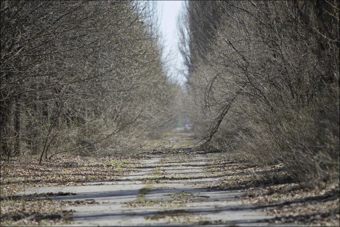 30 Years Later Chernobyl Is Still A Haunting Place (22 pics)