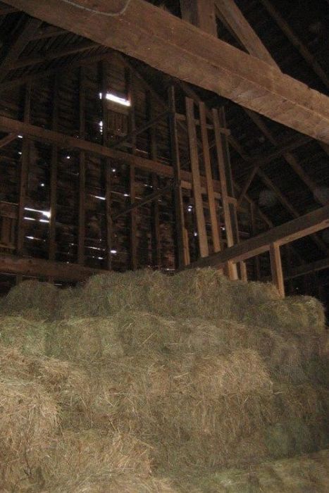 Old Barn From The 1800s Undergoes An Incredible Transformation (7 pics)