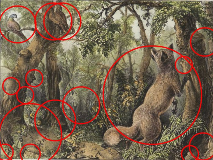 Can You Find The Many Hidden Faces In This Woodland Scene?  (2 pics)