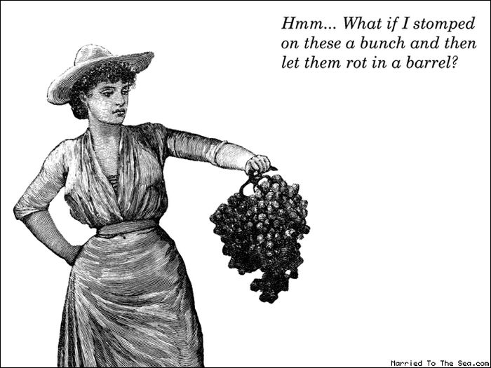 Vintage Illustrations Combined With Captions That Will Crack You Up (17 pics)