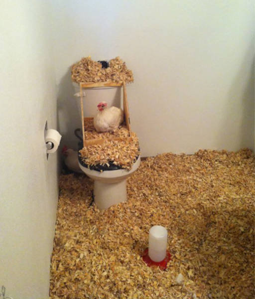 People Who Are Absolutely Proud To Be The Worst  (48 pics)