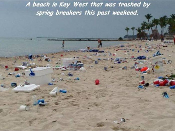 People Who Are Absolutely Proud To Be The Worst  (48 pics)
