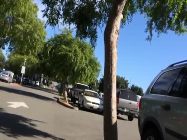 Dying Car Alarm Drops A Beat