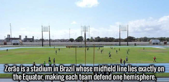 Your Brain Is Going Absolutely Love These Awesome Facts (19 pics)