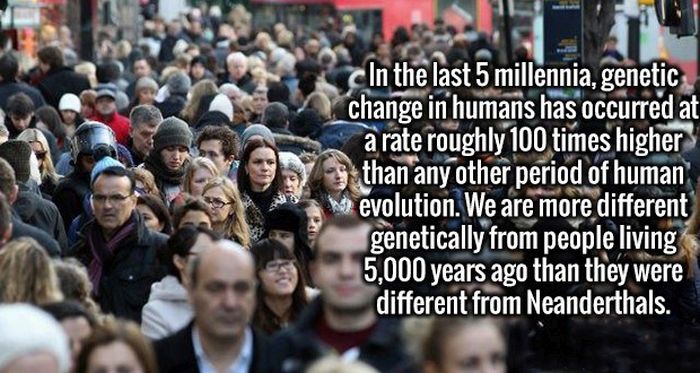 Your Brain Is Going Absolutely Love These Awesome Facts (19 pics)