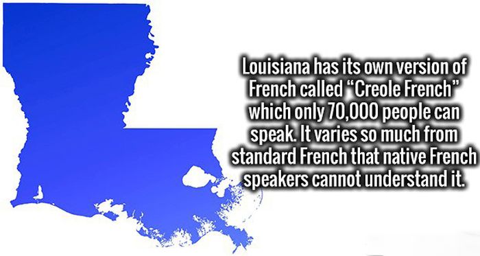 Your Brain Is Going Absolutely Love These Awesome Facts (19 pics)