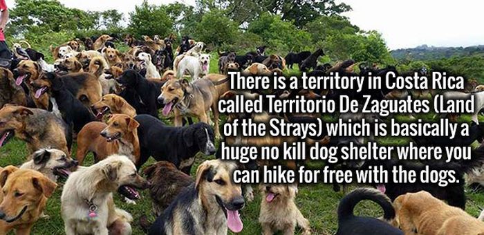 Your Brain Is Going Absolutely Love These Awesome Facts (19 pics)