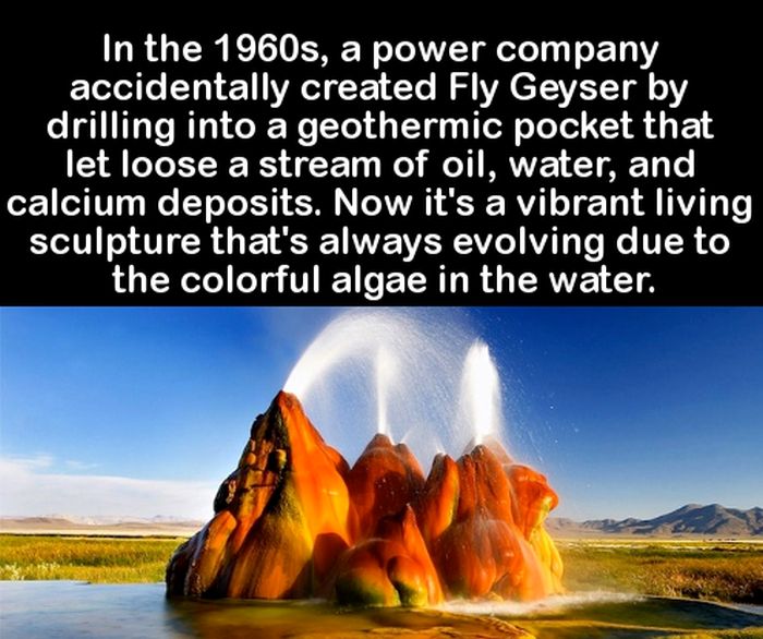 Awesome Facts And Entertaining Trivia That Will Get Your Brain Going (17 pics)