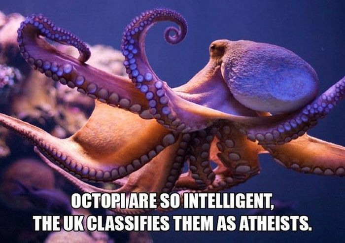 Unreal Facts That You Probably Shouldn't Believe (14 pics)