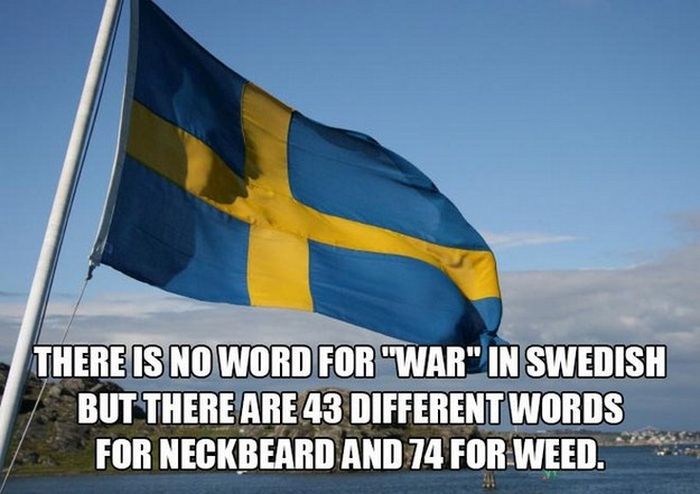 Unreal Facts That You Probably Shouldn't Believe (14 pics)