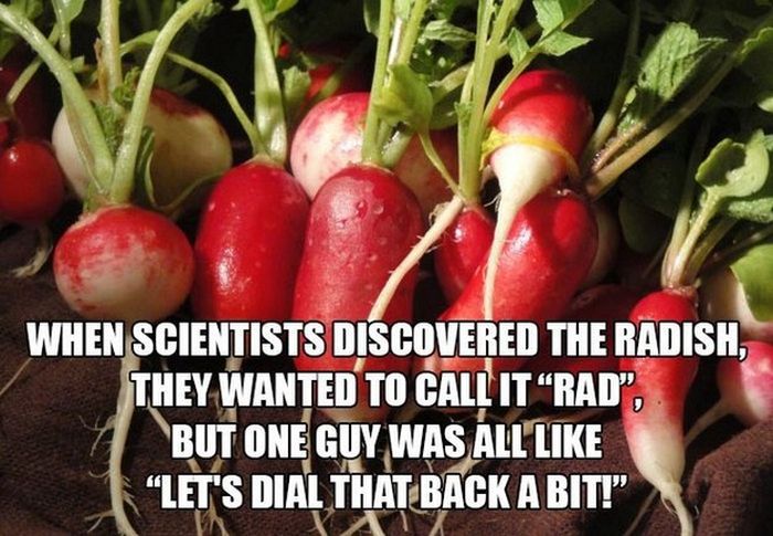 Unreal Facts That You Probably Shouldn't Believe (14 pics)