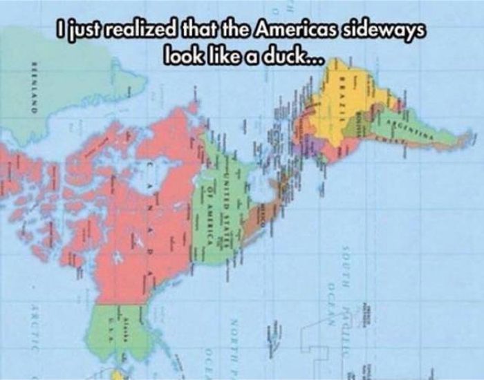 Awesome Things We Would All Do If We Were Teachers (21 pics)