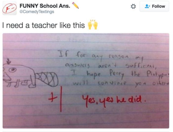 Awesome Things We Would All Do If We Were Teachers (21 pics)