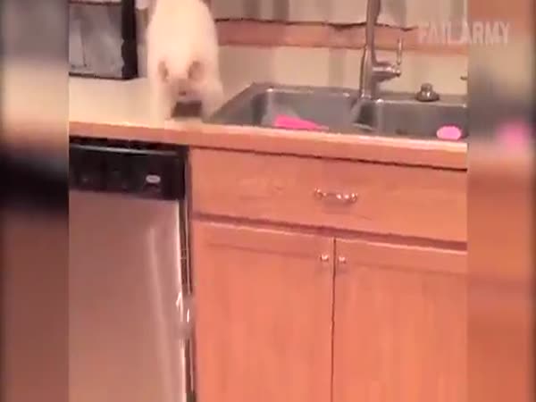 Best Fails Of The Week