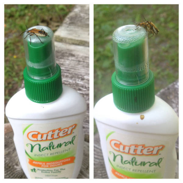 Situations That Went From Sane To Crazy In No Time At All (24 pics)