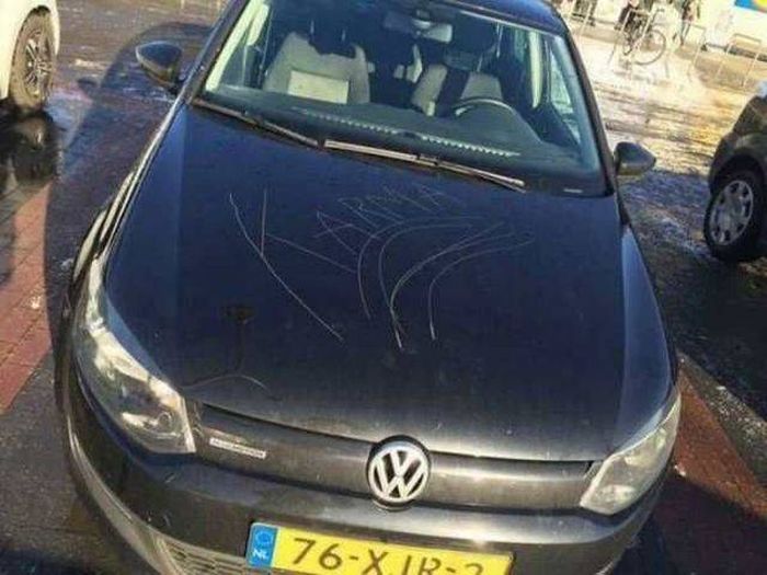 Acid Picdump (104 pics)