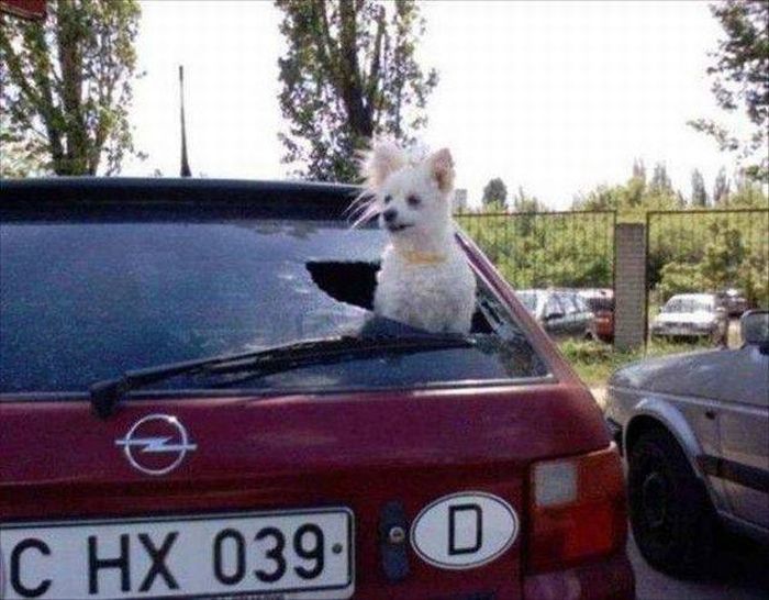 Acid Picdump (104 pics)
