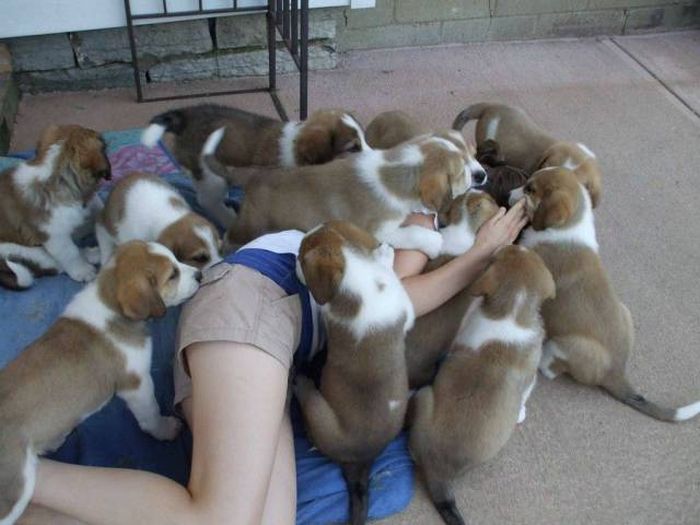 Acid Picdump (104 pics)