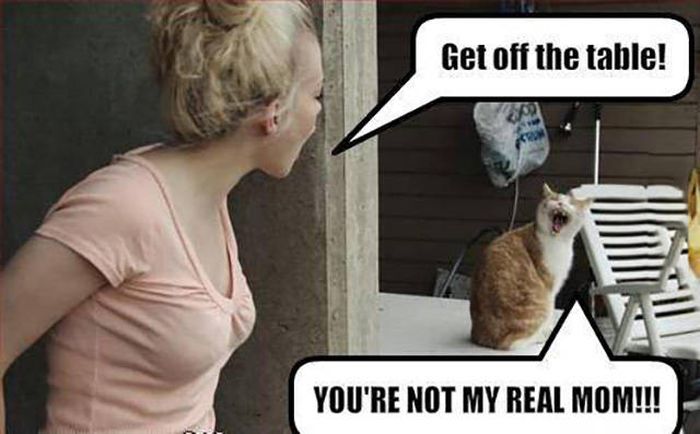 Acid Picdump (104 pics)